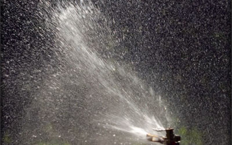 Yard Care: Managing Water Usage