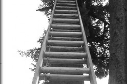 How to Select the Best Extension Commercial Ladders?