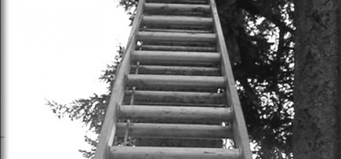 How to Select the Best Extension Commercial Ladders?