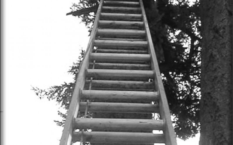 How to Select the Best Extension Commercial Ladders?