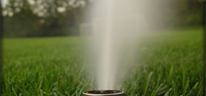 5 Lawn Sprinkler System Maintenance Tips