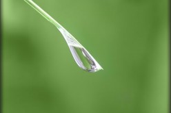 7 Home Water Conservation Tips