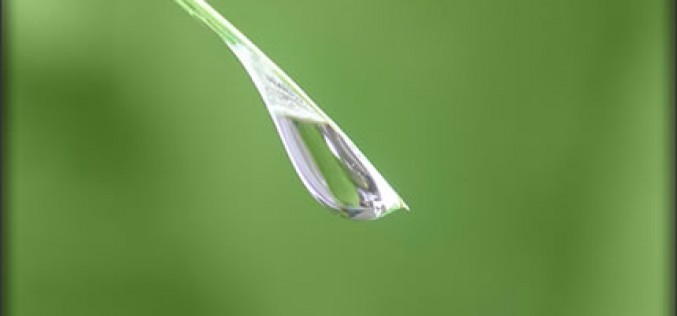 7 Home Water Conservation Tips