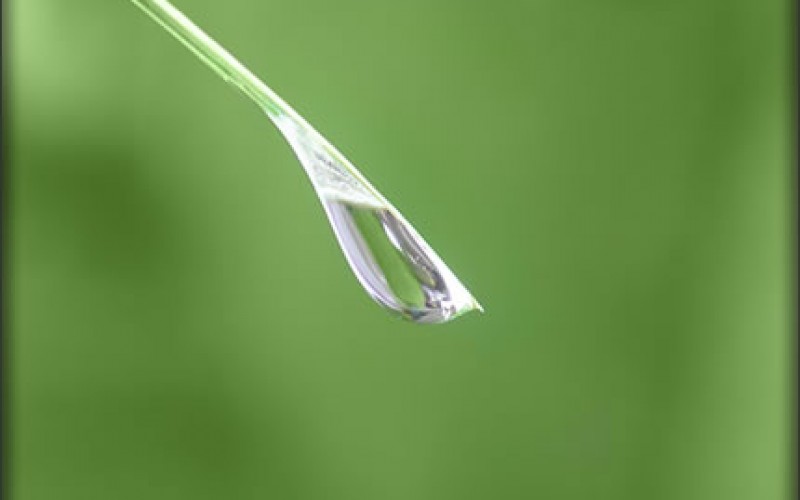 7 Home Water Conservation Tips