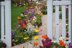 Home Shopping, Property and Yard Upkeep