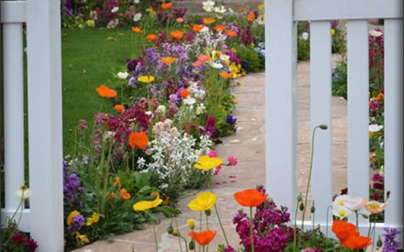 Home Shopping, Property and Yard Upkeep