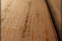 Various Questions on First Time Sanding