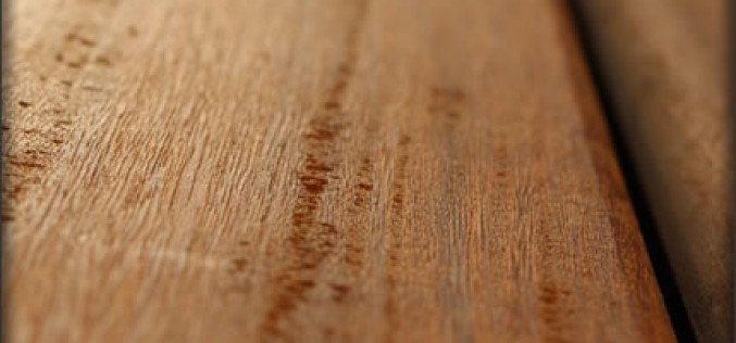 Various Questions on First Time Sanding