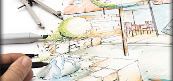 Backyard Renovation Blitz