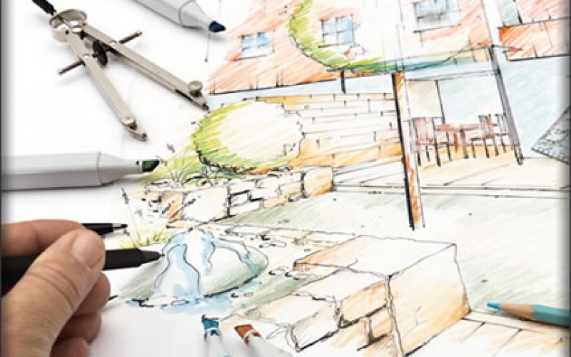 Backyard Renovation Blitz