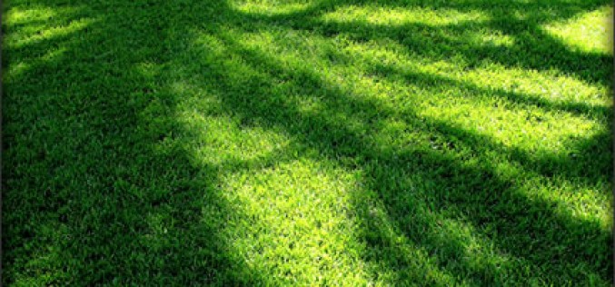 How to Reduce the Cooling Load of the Home
