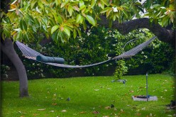 Transform Your Garden Into The Perfect Summer Retreat