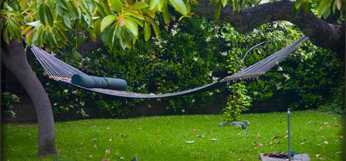 Transform Your Garden Into The Perfect Summer Retreat