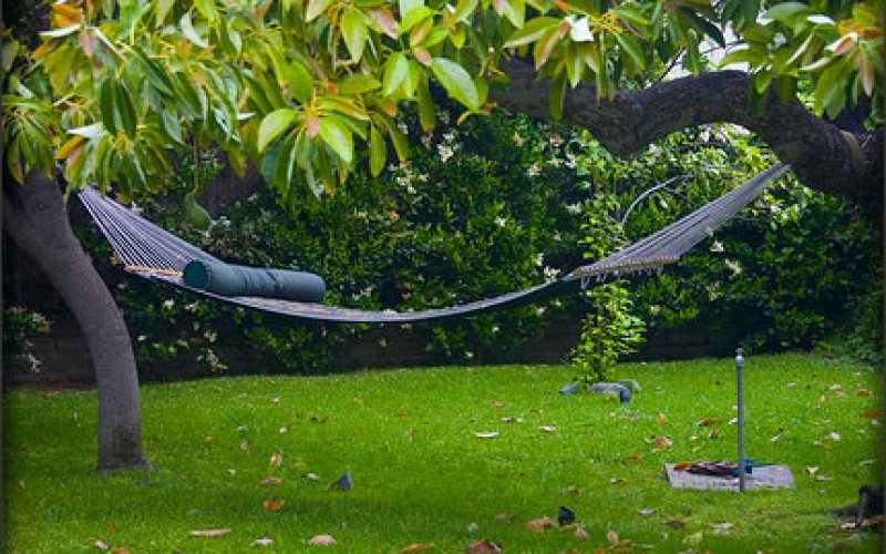 Transform Your Garden Into The Perfect Summer Retreat