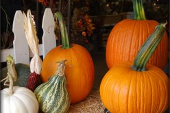 Home Décor: DIY Decoration Ideas For Fall