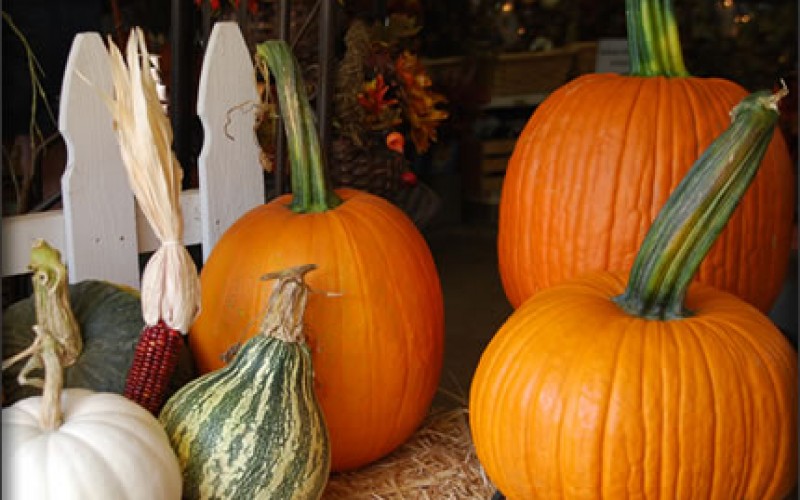 Home Décor: DIY Decoration Ideas For Fall