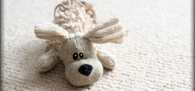 How To Clean Various Types Of Carpet Stains?