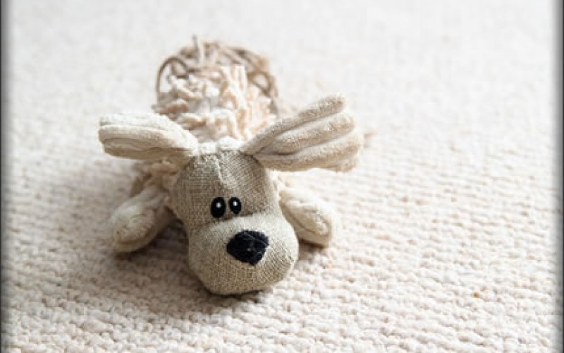 How To Clean Various Types Of Carpet Stains?