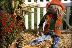 Front Porch Decorating Ideas for Fall