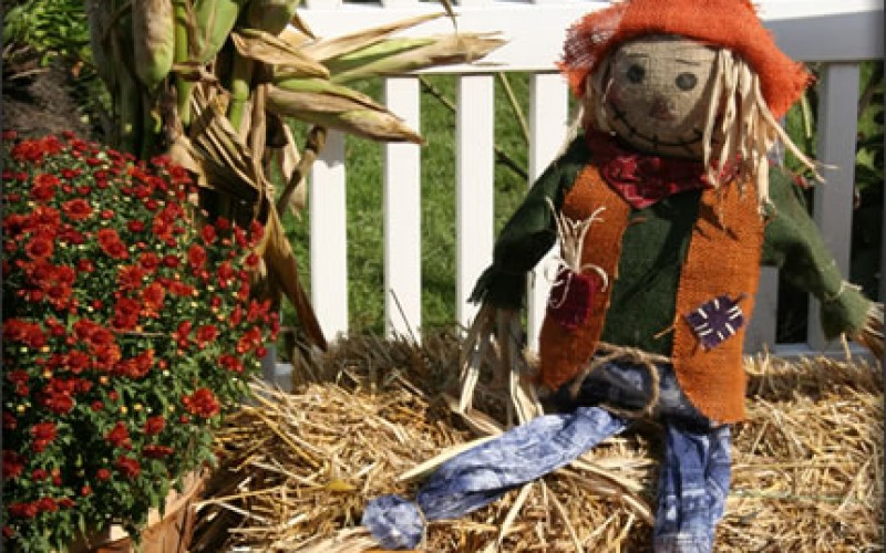 Front Porch Decorating Ideas for Fall