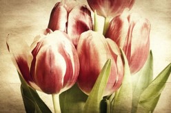 Making The Most Out Of Art In Your Home