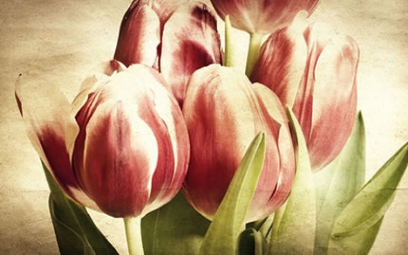 Making The Most Out Of Art In Your Home