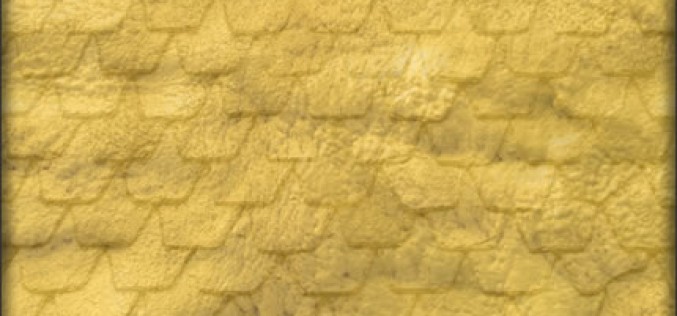 Spray Foam Protects Your Roof from Stormy Weather