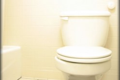 How to Fix Your Clogged Toilet
