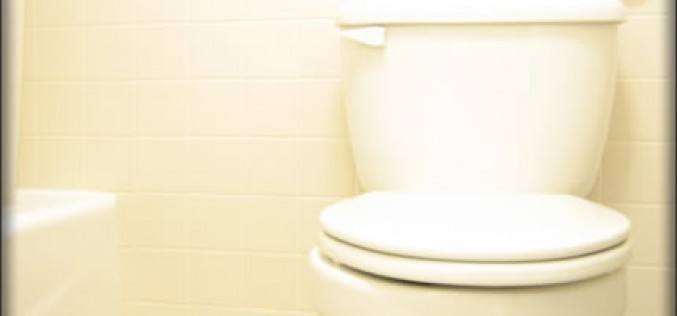 How to Fix Your Clogged Toilet