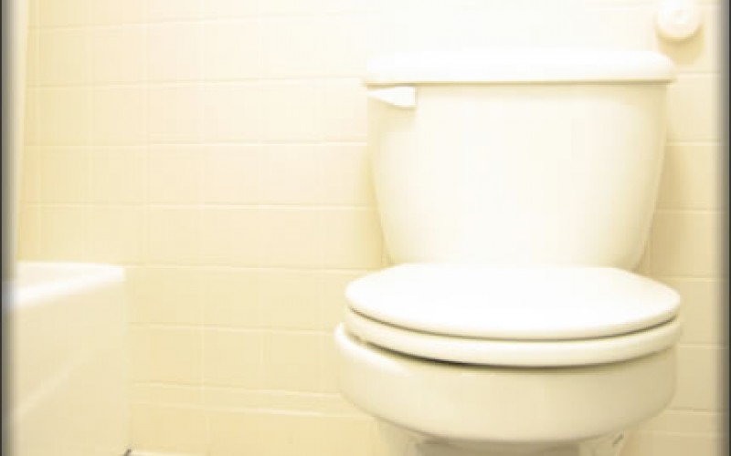 How to Fix Your Clogged Toilet