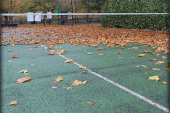 Leaf Blower Best Practices