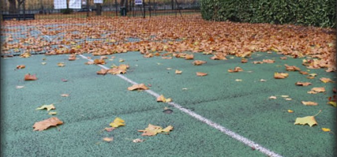 Leaf Blower Best Practices