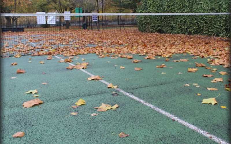 Leaf Blower Best Practices
