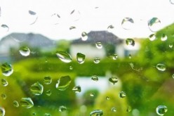 Window Replacement: The How and Why for the Winter Months