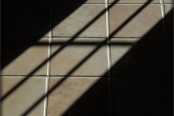 Why You Should Install Tile in Your Living Area