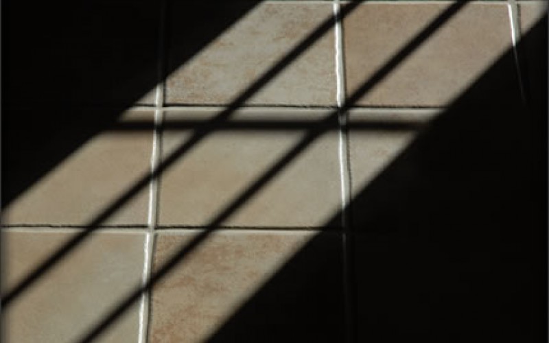 Why You Should Install Tile in Your Living Area