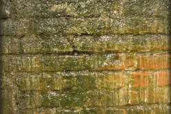 Drive Out Damp, Drive Up Your House Value