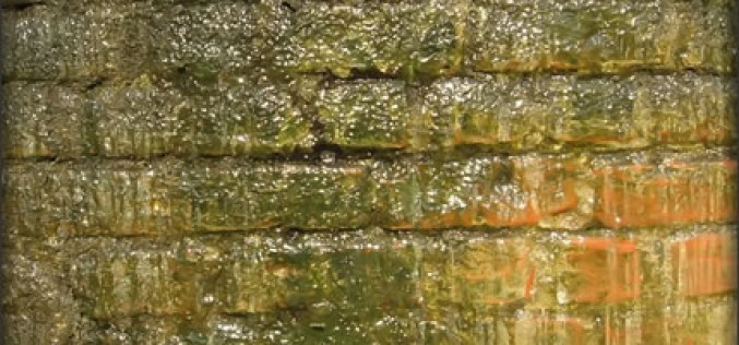 Drive Out Damp, Drive Up Your House Value