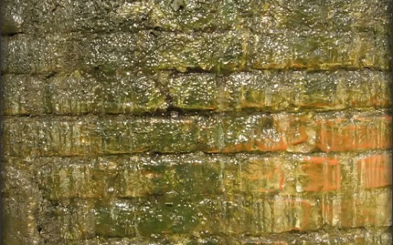 Drive Out Damp, Drive Up Your House Value