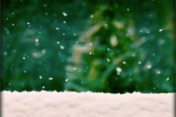 7 Home Improvement Projects for the New Year