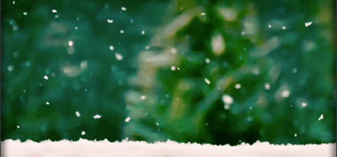 7 Home Improvement Projects for the New Year
