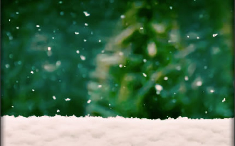 7 Home Improvement Projects for the New Year