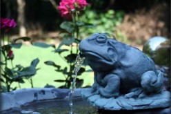 5 Ways to Transform Your Small Backyard