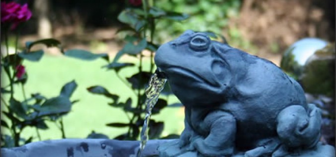 5 Ways to Transform Your Small Backyard