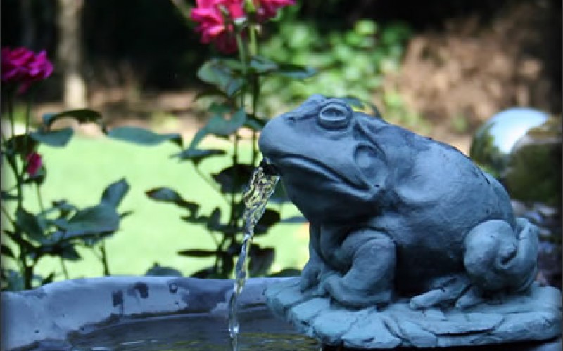 5 Ways to Transform Your Small Backyard
