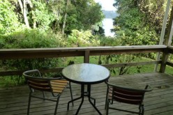 DIY Deck: An Easy Guide to Building Your Own Backyard Deck