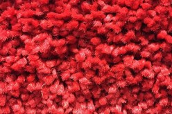 How to Find the Right Carpet for Your New Room