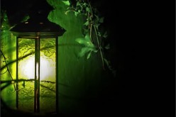 Outdoor Lights That Make Your Garden More Attractive