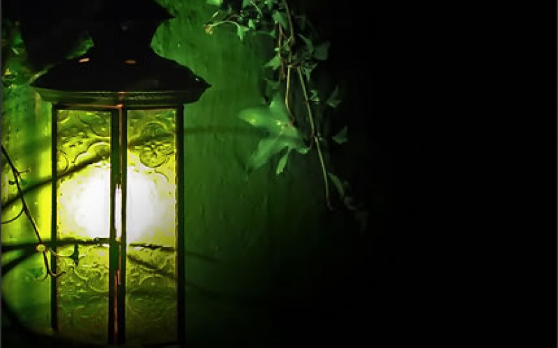 Outdoor Lights That Make Your Garden More Attractive