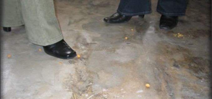 Your Guide to Polished Concrete